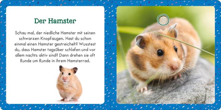 Actual product image Sound book for little ones - Pets (German)
