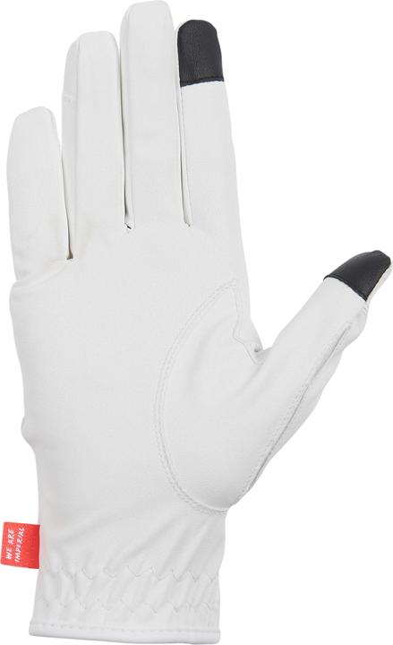 Immagine prodotto Imperial Riding The Basics (XL)