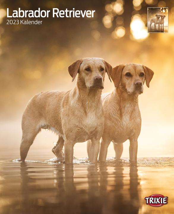 Actual product image Trixie Baby Calendar Labrador Retriever