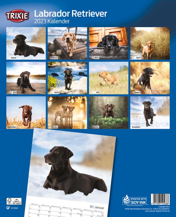 Actual product image Trixie Baby Calendar Labrador Retriever