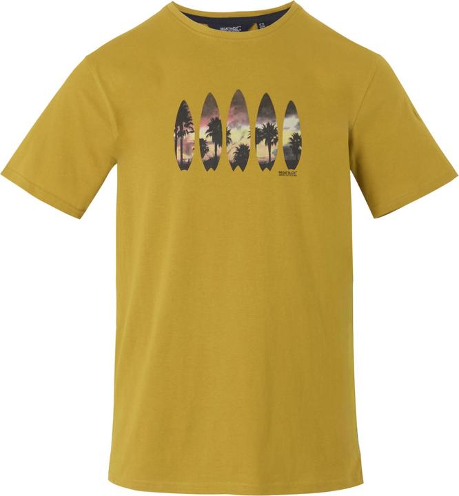 Image du produit Regatta - T-shirt CLINE - Homme (4XL)