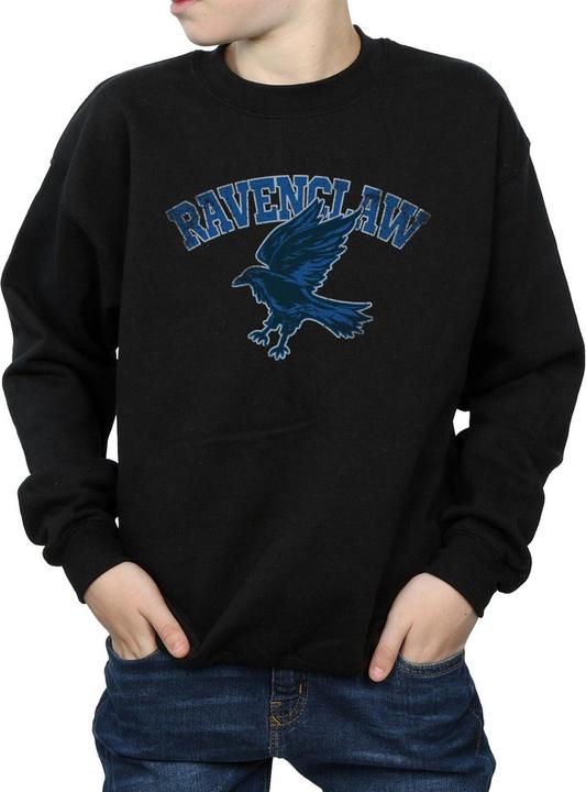 Immagine prodotto Ravenclaw Sport Emblem Felpa Ragazzi (140, 146)