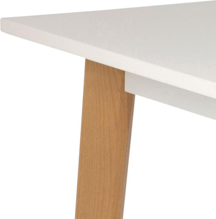 Image du produit AC Design Raven (117 x 75 x 58 cm)