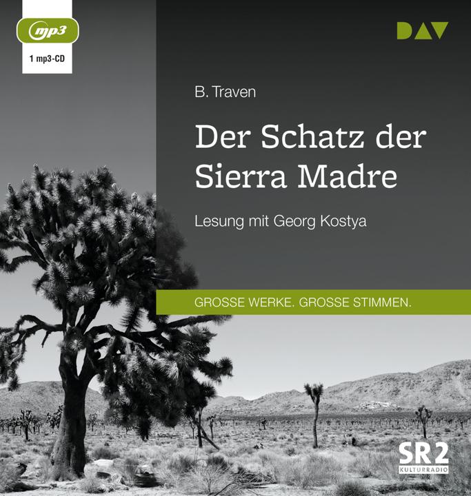 Actual product image The Treasure of the Sierra Madre (B. Traven, Georg Kostya, German)