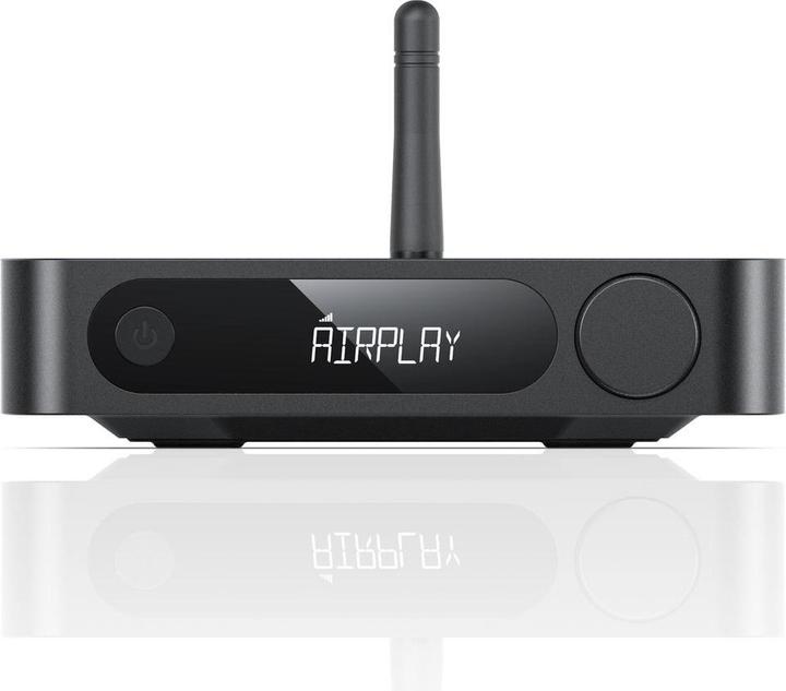 Actual product image FiiO SR11 (Network Audio Player)