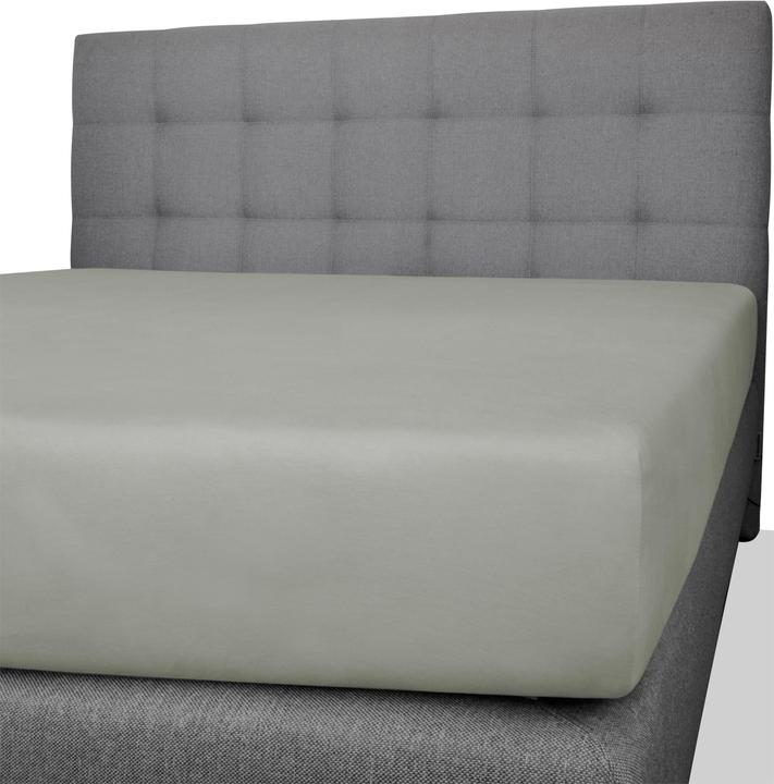 Produktbild Aspero 2 x Spannbettlaken aus Baumwolle (140, 160 x 200 x 25 cm)