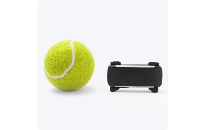 Actual product image Tractive GPS Tracker Dog 6 (Dog, Walks)