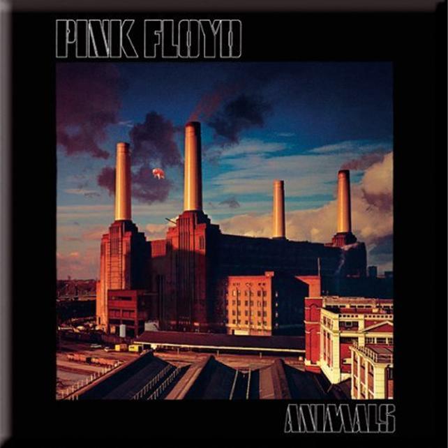 Produktbild Pink Floyd KühlschrankMagnet Tiere (1 x)
