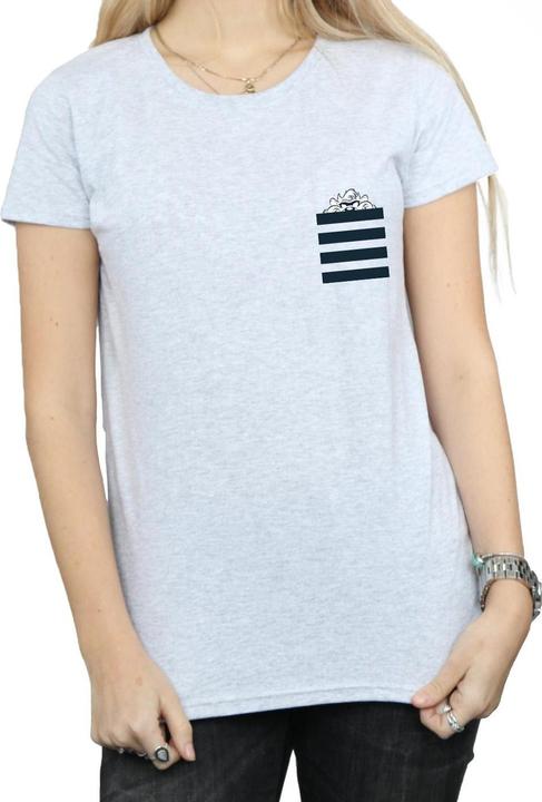 Actual product image Looney Tunes Womens/Ladies Taz Stripes Faux Pocket Cotton T-Shirt (S)
