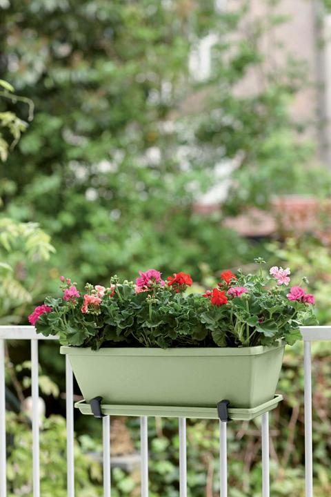 Actual product image Elho Balcony box Barcelona (19 cm)