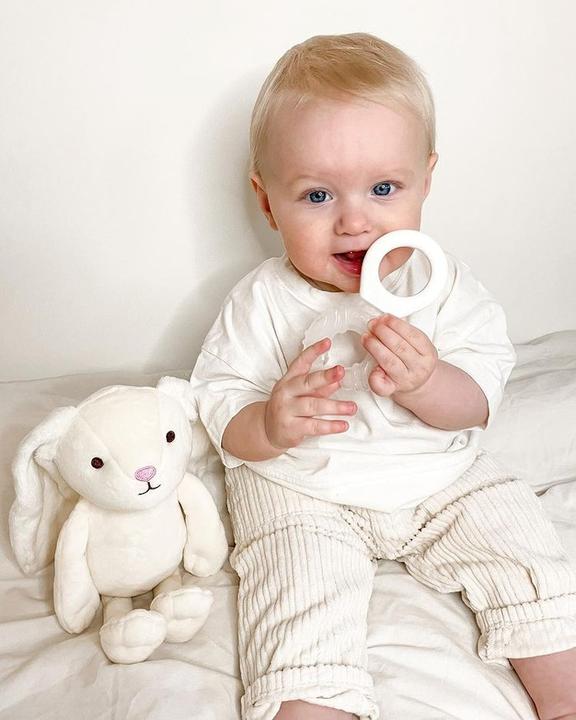Produktbild Twistshake Teether Cooler