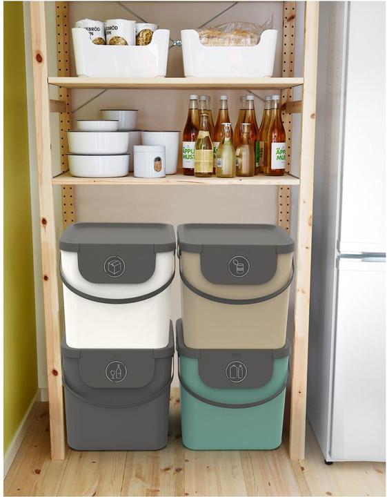 Actual product image Rotho Albula recycling bin 40 l, anthracite (40 l)