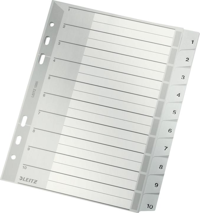 Actual product image Leitz Register PP