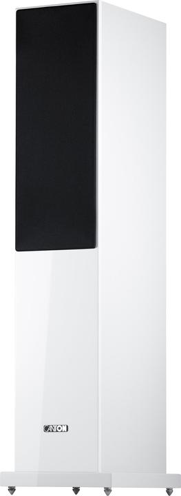Actual product image Canton Chrono 70 (1 pcs., 170 W)