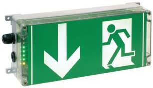 Actual product image Ceag Ex escape sign luminaire arrow down 1 2191 030 003