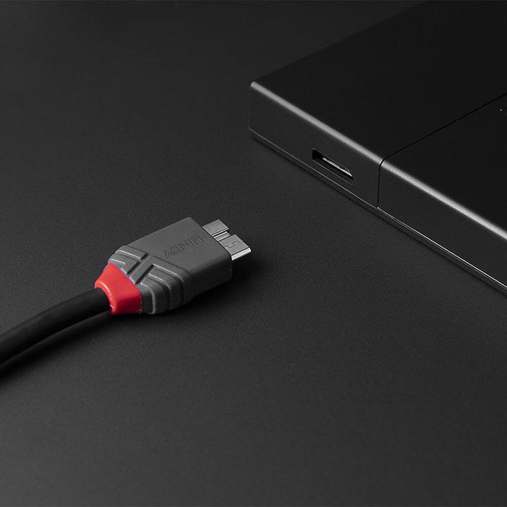 Actual product image Lindy USB 3.2 Type C to Micro-B Cable, Anthra Line (1 m)