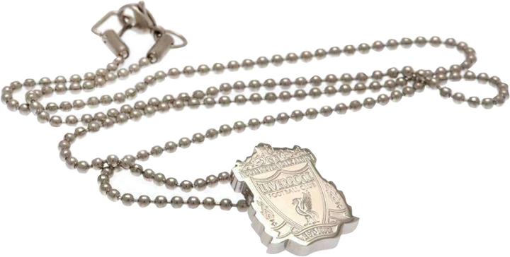 Actual product image Score Draw Stainless steel pendant and chain (100% steel)