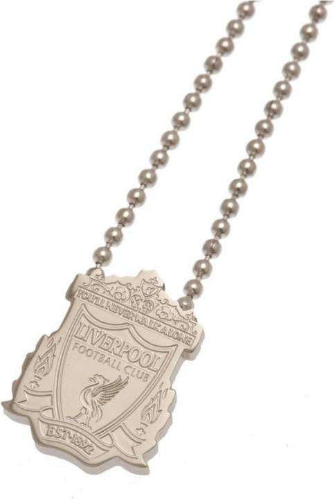 Actual product image Score Draw Stainless steel pendant and chain (100% steel)