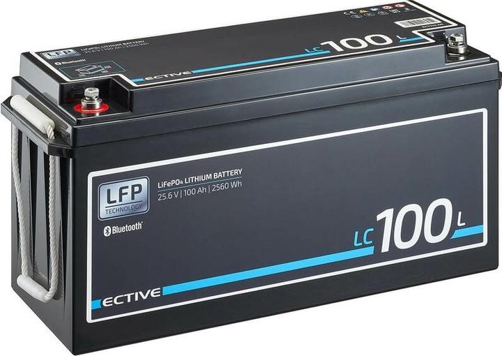Ective 12V 100Ah LiFePo4 Solar Batterie Lithium Akku BMS Wohnmobil Camper LFP BT Versorgungsbatterie (12 V, 100 Ah)