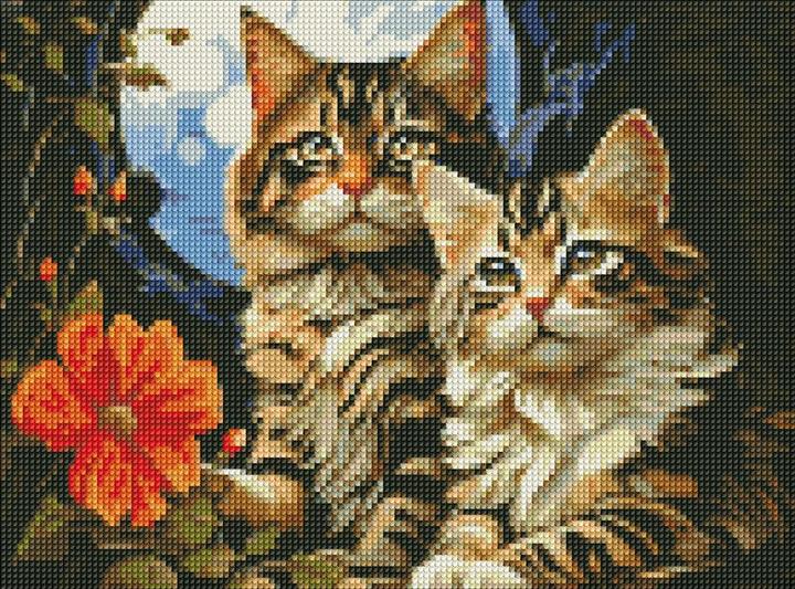 Productafbeelding Ideyka Diamond schilderij - Katten met lijst 30 x 40 cm