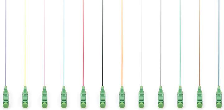 Actual product image Digitus Fibre optic pigtail set, 12 pcs, LC APC, SM OS2 09/125 µ loose buffer, colour code DIN IEC 304, 2 m (2 m)