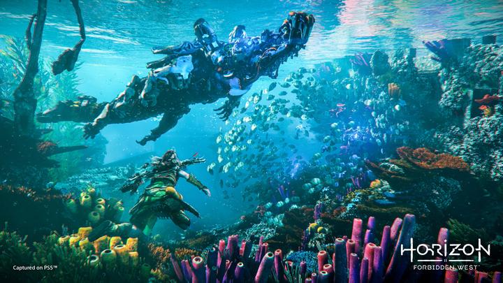 Produktbild Sony Horizon Forbidden West (PS4, EN)