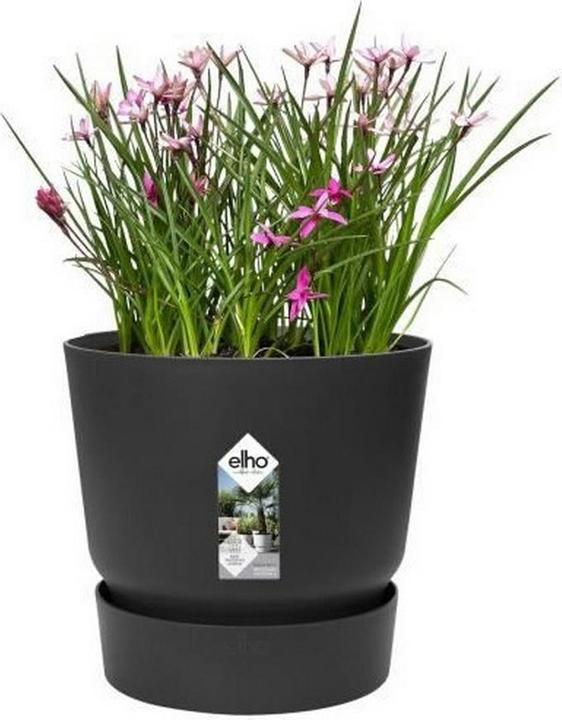 Produktbild Elho Greenville (39 cm)