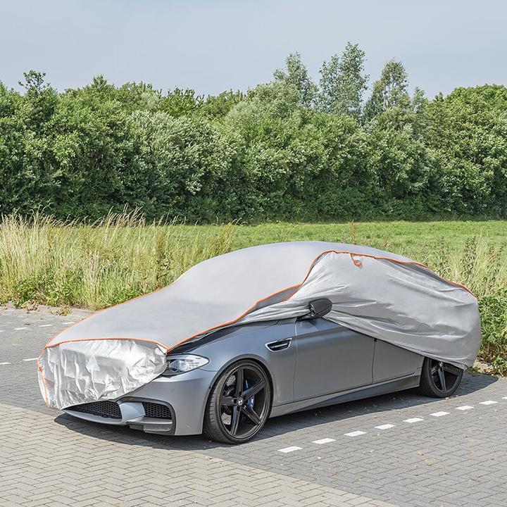 Immagine prodotto ProPlus Hagelschutzgarage XL (540 x 175 x 120 cm) Dicke 5 mm