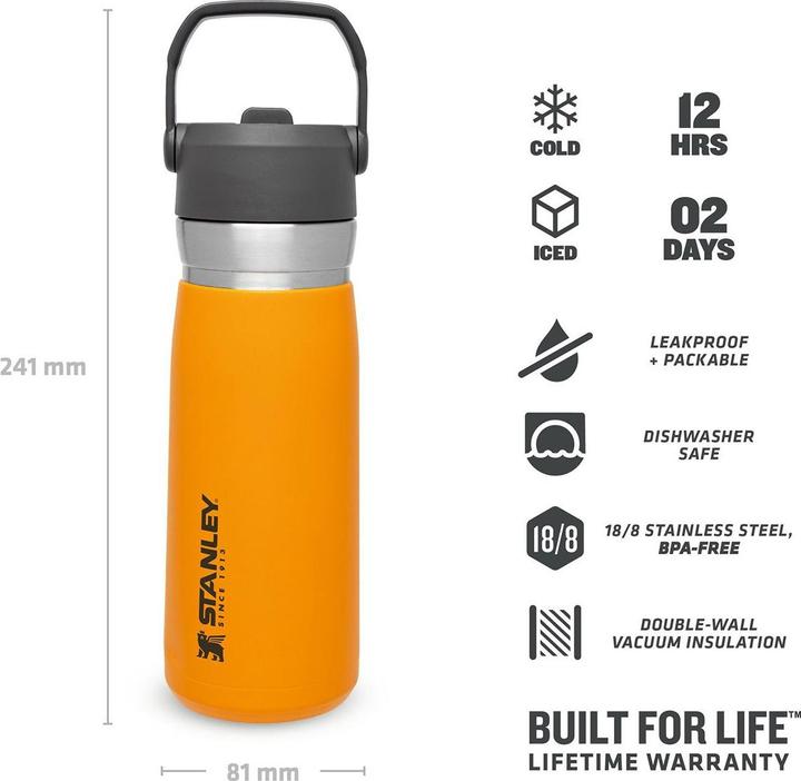 Immagine prodotto Stanley 1913 IceFlow (0.65 l)