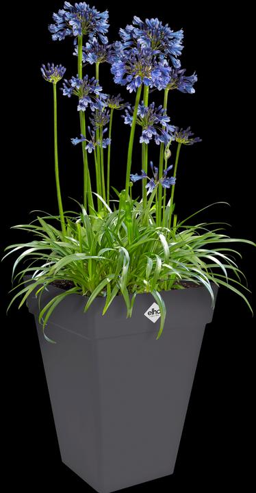 Produktbild Elho Loft Urban Eckig Hoch (37 cm)