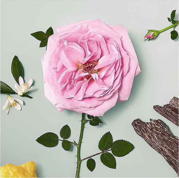 Produktbild Chloé Signature Naturelle (Eau de Parfum, 50 ml)