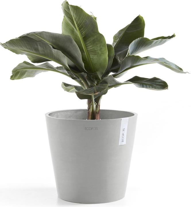 Produktbild Ecopots Amsterdam + Wasserbehälter (40 cm)
