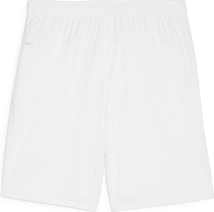 Actual product image Puma teamGOAL shorts (M)