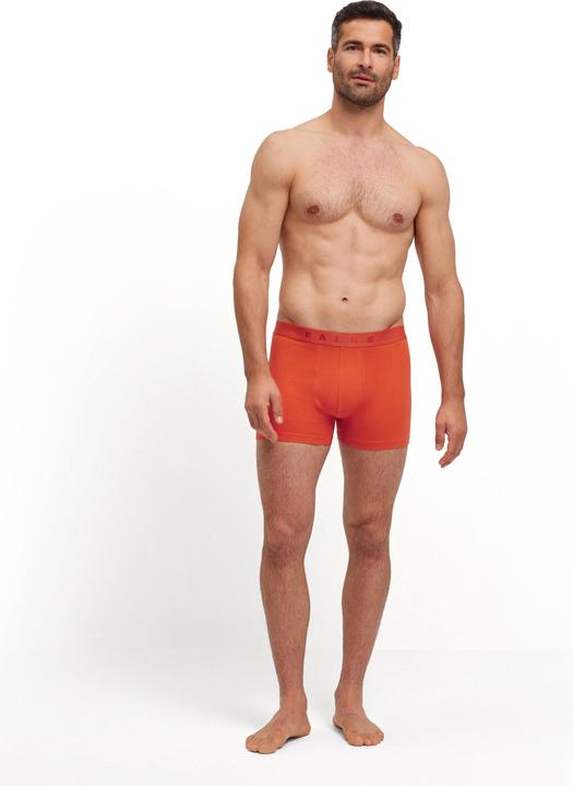 Produktbild Falke 2-Pack Herren (L, 2er Pack)