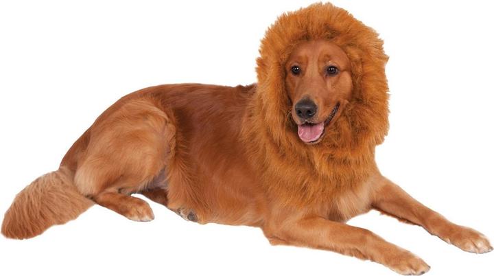 Actual product image Bristol Novelty Lion's Mane Dog Costume (Dog costume)