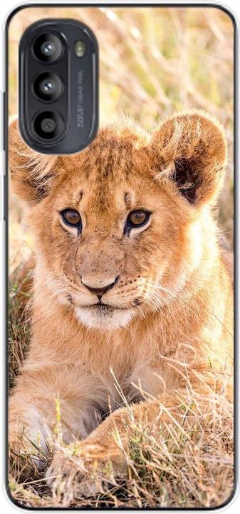 Lions baby