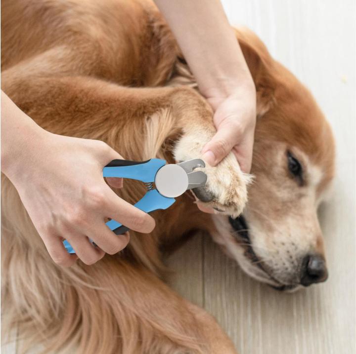 Immagine prodotto Quick Aid Forbici ad artiglio (Uccello, Cane, Gatto)