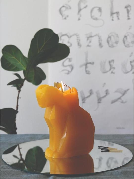 Actual product image 54Celsius PyroPet Kisa (1 pcs.)