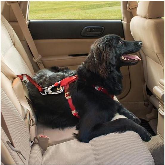 Produktbild Kurgo Swivel Tether Sicherheitsgurt mit Karabinerhaken (Hund, Reflektoren)