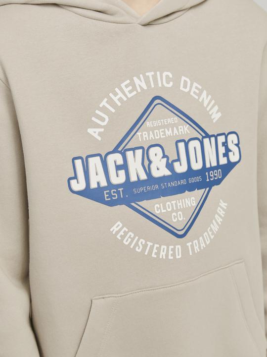 Produktbild Jack & Jones JJELOGO SWEAT HOOD 2 COL 24/25 NOOS JNR (128)