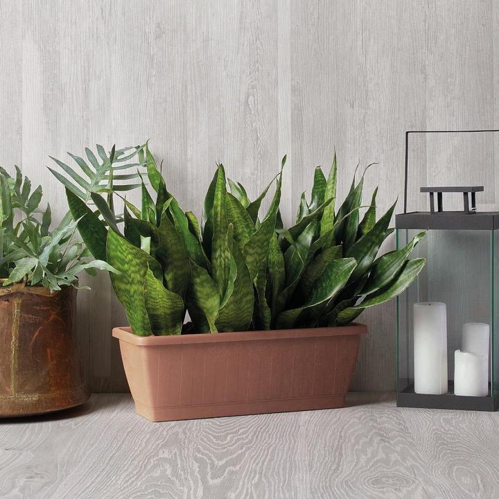 Productafbeelding Euro3plast Greener KEZAR plantenbak, hoekig, 60x20x18cm, van gerecycled plastic in terra (194 cm)