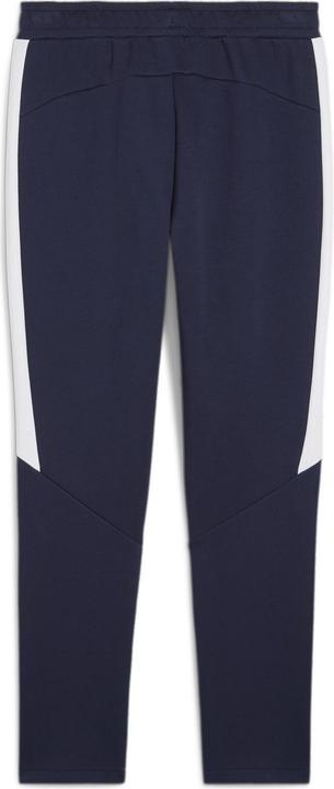 Image du produit Puma teamEVOSTRIPE Pants (L)