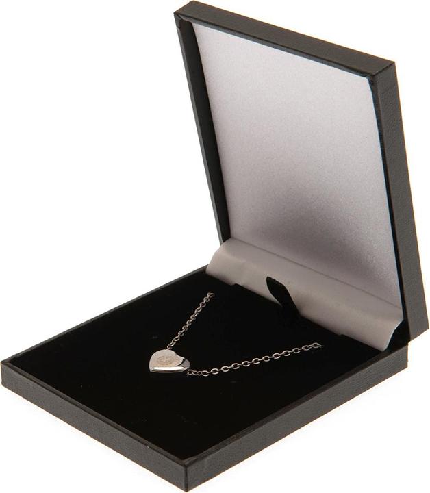 Actual product image Rangers FC Stainless Steel Heart Necklace (100% synthetic material)