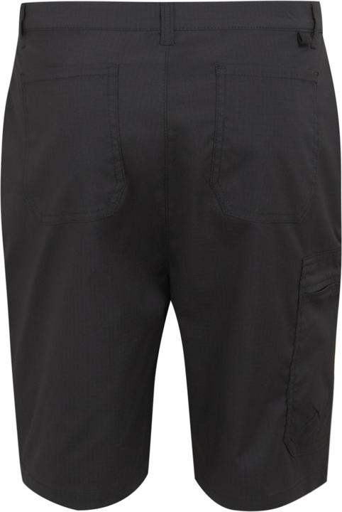 Actual product image Regatta Mens Dalry Multi Pocket Shorts (40)