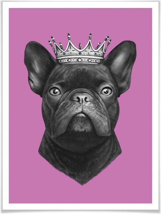 Image du produit Trenddeko King French Bulldog rose (100 x 120 cm)