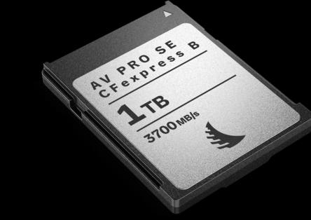 Image du produit Angelbird AV PRO SE CFexpress B (1000 Go, CFexpress type B)