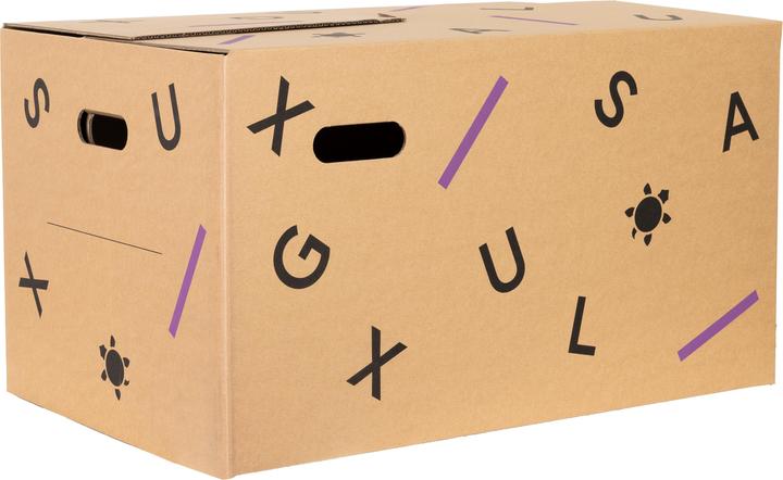Galaxus Umzugskarton (10er Set) (60 x 40 x 35 cm, 84 l)
