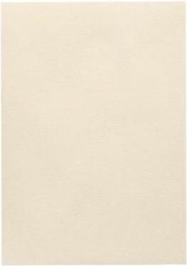 Actual product image Artoz Paper 1001 ivory 5 pcs. (100 g/m², A4)