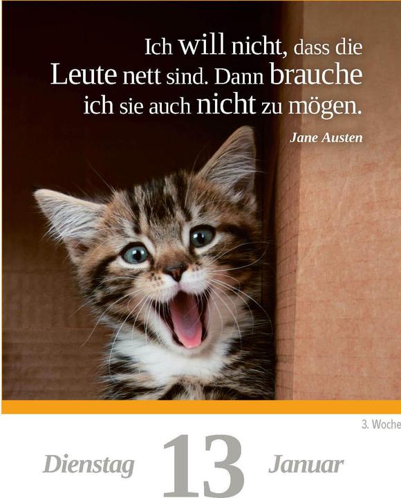 Produktbild Eine Katze für jeden Tag 2026 - Tagesabreisskalender zum Aufstellen oder Aufhängen (11 x 15 cm, Deutsch)