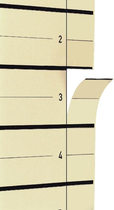 Produktbild Pagna Trennblätter A4 beige Pack 10 tgl.